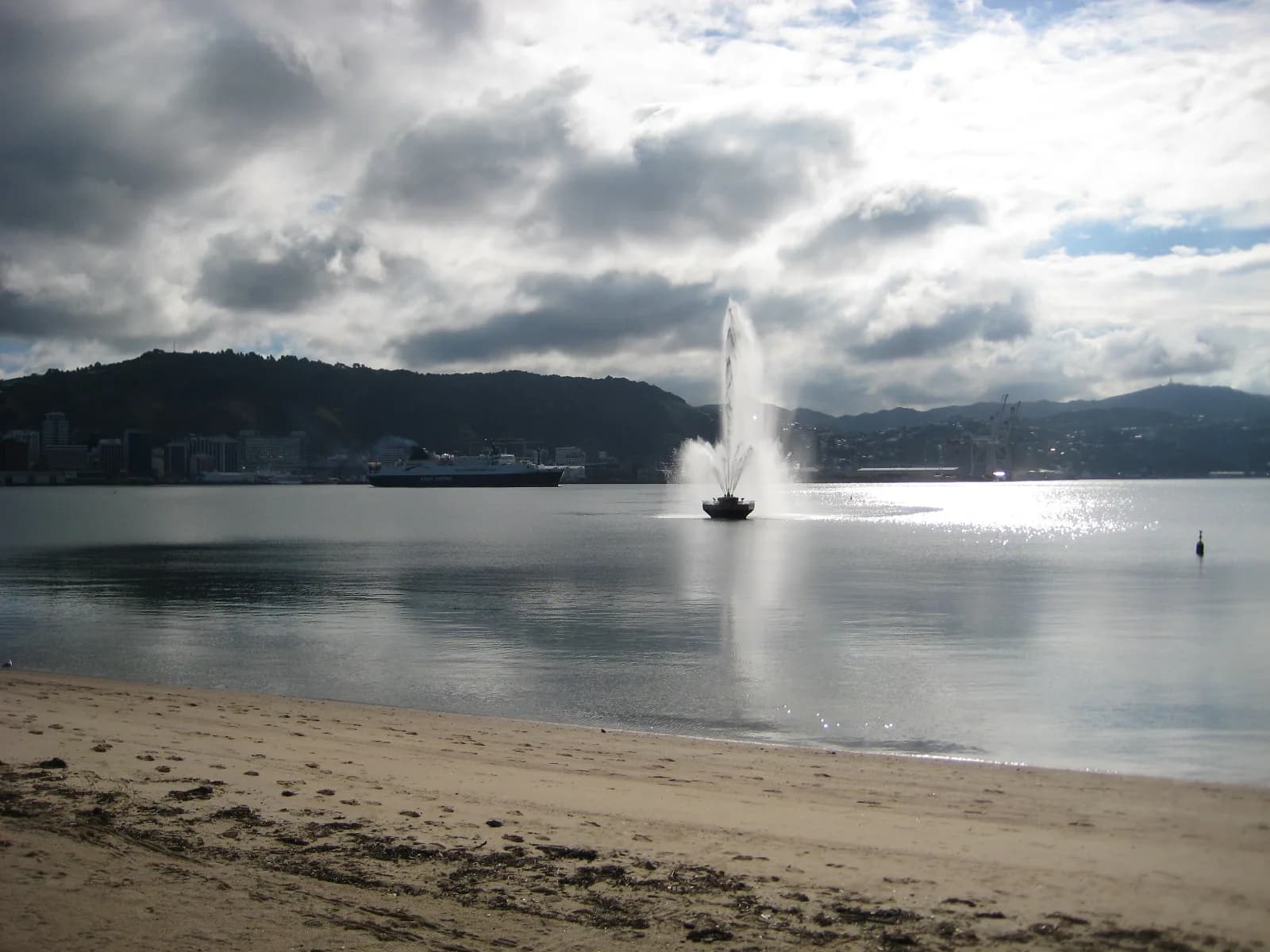 Oriental Bay beach and waterfront with Wellington city in the background